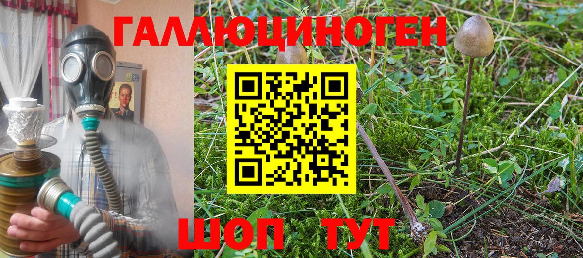 Псилоцибиновые грибы Psilocybe Надым
