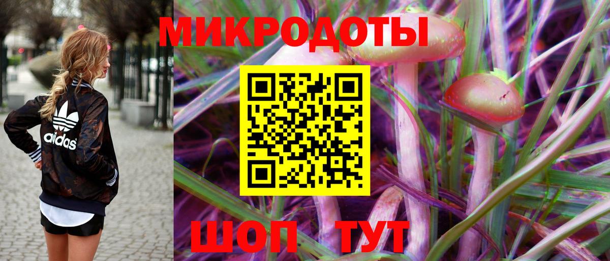 Надым  Псилоцибиновые грибы прущие грибы  Галлюциногенные грибы мицелий  Вход с VPN 